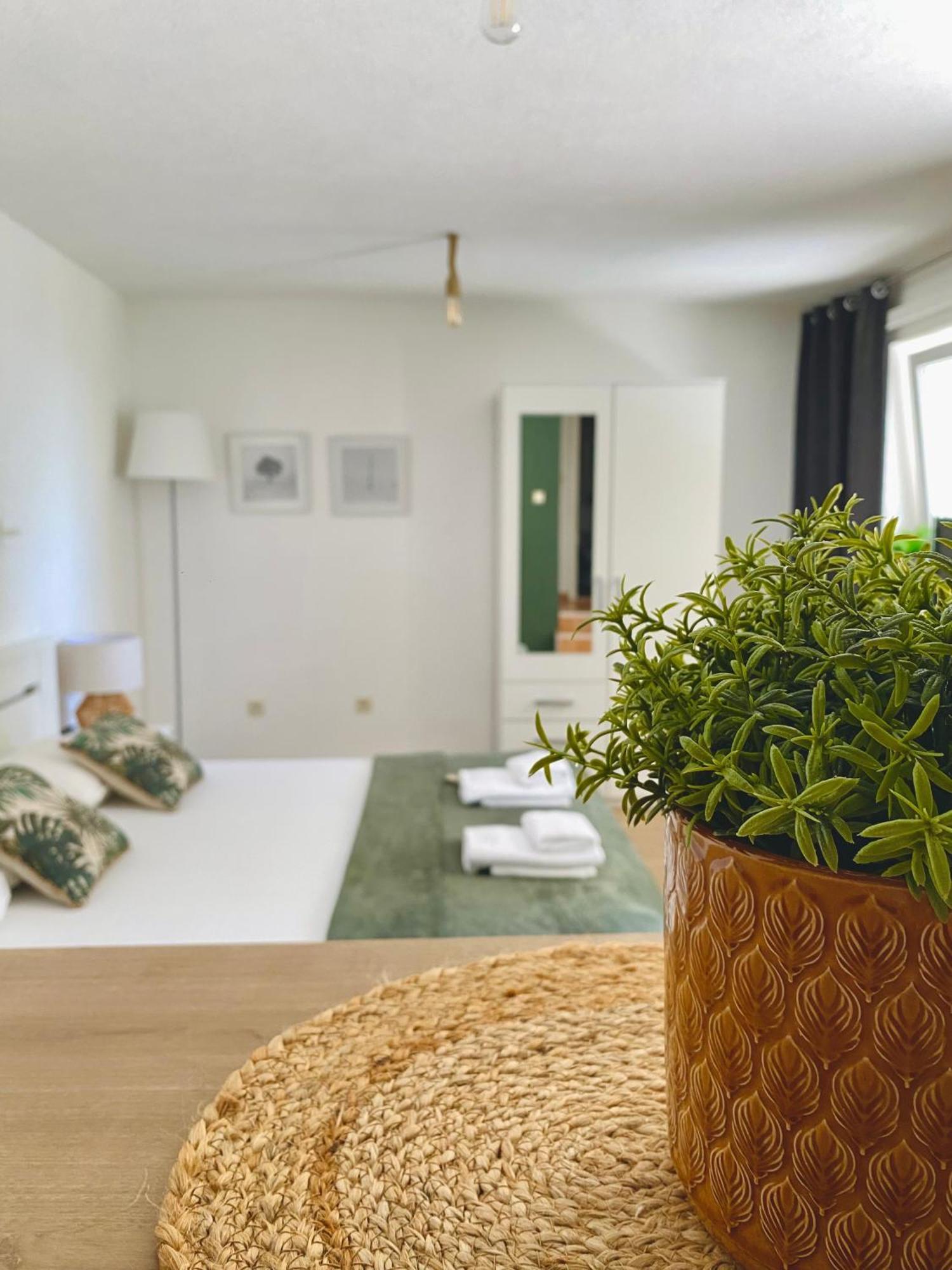 Apartments & Rooms Joy Of Life In Makarska Exterior foto